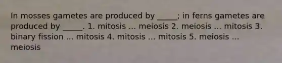 In mosses gametes are produced by _____; in ferns gametes are produced by _____. 1. mitosis ... meiosis 2. meiosis ... mitosis 3. binary fission ... mitosis 4. mitosis ... mitosis 5. meiosis ... meiosis