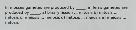 In mosses gametes are produced by _____; in ferns gametes are produced by _____. a) binary fission ... mitosis b) mitosis ... mitosis c) meiosis ... meiosis d) mitosis ... meiosis e) meiosis ... mitosis