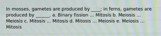 In mosses, gametes are produced by ____; in ferns, gametes are produced by ______. a. Binary fission ... Mitosis b. Meiosis ... Meiosis c. Mitosis ... Mitosis d. Mitosis ... Meiosis e. Meiosis ... Mitosis