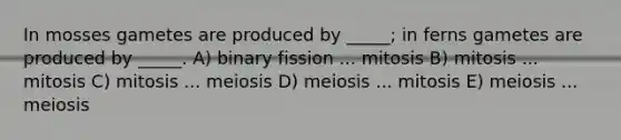 In mosses gametes are produced by _____; in ferns gametes are produced by _____. A) binary fission ... mitosis B) mitosis ... mitosis C) mitosis ... meiosis D) meiosis ... mitosis E) meiosis ... meiosis