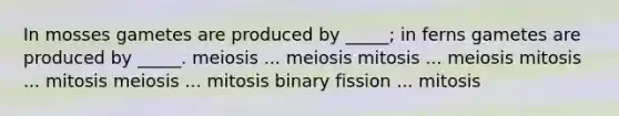 In mosses gametes are produced by _____; in ferns gametes are produced by _____. meiosis ... meiosis mitosis ... meiosis mitosis ... mitosis meiosis ... mitosis binary fission ... mitosis