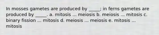 In mosses gametes are produced by _____; in ferns gametes are produced by _____. a. mitosis ... meiosis b. meiosis ... mitosis c. binary fission ... mitosis d. meiosis ... meiosis e. mitosis ... mitosis