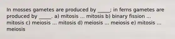 In mosses gametes are produced by _____; in ferns gametes are produced by _____. a) mitosis ... mitosis b) binary fission ... mitosis c) meiosis ... mitosis d) meiosis ... meiosis e) mitosis ... meiosis