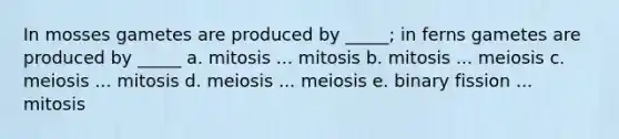 In mosses gametes are produced by _____; in ferns gametes are produced by _____ a. mitosis ... mitosis b. mitosis ... meiosis c. meiosis ... mitosis d. meiosis ... meiosis e. binary fission ... mitosis