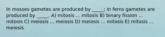 In mosses gametes are produced by _____; in ferns gametes are produced by _____. A) mitosis ... mitosis B) binary fission ... mitosis C) meiosis ... meiosis D) meiosis ... mitosis E) mitosis ... meiosis