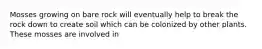 Mosses growing on bare rock will eventually help to break the rock down to create soil which can be colonized by other plants. These mosses are involved in