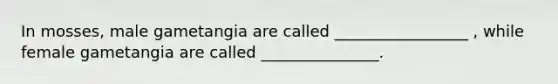 In mosses, male gametangia are called _________________ , while female gametangia are called _______________.