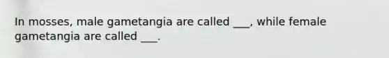In mosses, male gametangia are called ___, while female gametangia are called ___.