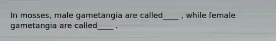 In mosses, male gametangia are called____ , while female gametangia are called____ .