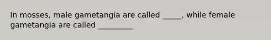 In mosses, male gametangia are called _____, while female gametangia are called _________