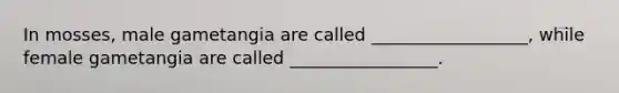 In mosses, male gametangia are called __________________, while female gametangia are called _________________.