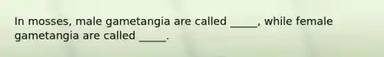 In mosses, male gametangia are called _____, while female gametangia are called _____.
