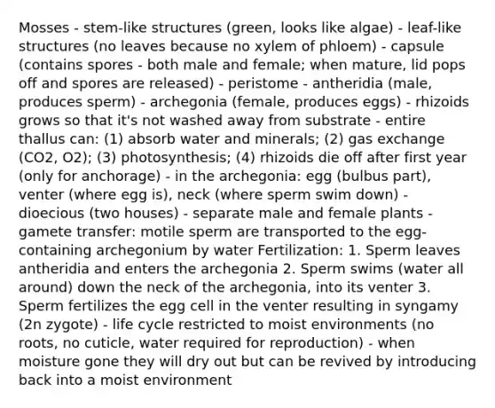 Mosses - stem-like structures (green, looks like algae) - leaf-like structures (no leaves because no xylem of phloem) - capsule (contains spores - both male and female; when mature, lid pops off and spores are released) - peristome - antheridia (male, produces sperm) - archegonia (female, produces eggs) - rhizoids grows so that it's not washed away from substrate - entire thallus can: (1) absorb water and minerals; (2) gas exchange (CO2, O2); (3) photosynthesis; (4) rhizoids die off after first year (only for anchorage) - in the archegonia: egg (bulbus part), venter (where egg is), neck (where sperm swim down) - dioecious (two houses) - separate male and female plants - gamete transfer: motile sperm are transported to the egg-containing archegonium by water Fertilization: 1. Sperm leaves antheridia and enters the archegonia 2. Sperm swims (water all around) down the neck of the archegonia, into its venter 3. Sperm fertilizes the egg cell in the venter resulting in syngamy (2n zygote) - life cycle restricted to moist environments (no roots, no cuticle, water required for reproduction) - when moisture gone they will dry out but can be revived by introducing back into a moist environment