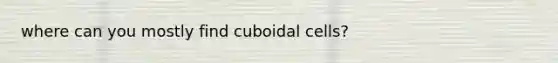 where can you mostly find cuboidal cells?