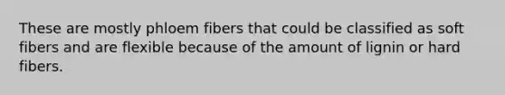 These are mostly phloem fibers that could be classified as soft fibers and are flexible because of the amount of lignin or hard fibers.