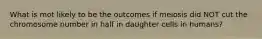 What is mot likely to be the outcomes if meiosis did NOT cut the chromosome number in half in daughter cells in humans?