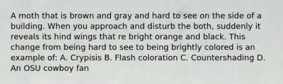 A moth that is brown and gray and hard to see on the side of a building. When you approach and disturb the both, suddenly it reveals its hind wings that re bright orange and black. This change from being hard to see to being brightly colored is an example of: A. Crypisis B. Flash coloration C. Countershading D. An OSU cowboy fan