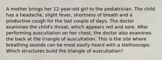 A mother brings her 12-year-old girl to the pediatrician. The child has a headache, slight fever, shortness of breath and a productive cough for the last couple of days. The doctor examines the child's throat, which appears red and sore. After performing auscultation on her chest, the doctor also examines the back at the triangle of auscultation. This is the site where breathing sounds can be most easily heard with a stethoscope. Which structures build the triangle of auscultation?