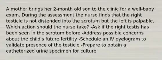 A mother brings her 2-month old son to the clinic for a well-baby exam. During the assessment the nurse finds that the right testicle is not distended into the scrotum but the left is palpable. Which action should the nurse take? -Ask if the right testis has been seen in the scrotum before -Address possible concerns about the child's future fertility -Schedule an IV pyelogram to validate presence of the testicle -Prepare to obtain a catheterized urine specimen for culture