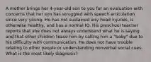 A mother brings her 4-year-old son to you for an evaluation with concerns that her son has struggled with speech articulation since very young. He has not sustained any head injuries, is otherwise healthy, and has a normal IQ. His preschool teacher reports that she does not always understand what he is saying and that other children tease him by calling him a "baby" due to his difficulty with communication. He does not have trouble relating to other people or understanding nonverbal social cues. What is the most likely diagnosis?