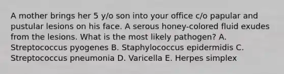 A mother brings her 5 y/o son into your office c/o papular and pustular lesions on his face. A serous honey-colored fluid exudes from the lesions. What is the most likely pathogen? A. Streptococcus pyogenes B. Staphylococcus epidermidis C. Streptococcus pneumonia D. Varicella E. Herpes simplex