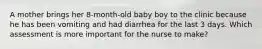 A mother brings her 8-month-old baby boy to the clinic because he has been vomiting and had diarrhea for the last 3 days. Which assessment is more important for the nurse to make?