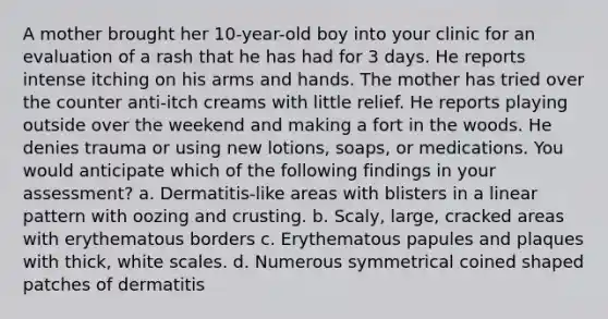 A mother brought her 10-year-old boy into your clinic for an evaluation of a rash that he has had for 3 days. He reports intense itching on his arms and hands. The mother has tried over the counter anti-itch creams with little relief. He reports playing outside over the weekend and making a fort in the woods. He denies trauma or using new lotions, soaps, or medications. You would anticipate which of the following findings in your assessment? a. Dermatitis-like areas with blisters in a linear pattern with oozing and crusting. b. Scaly, large, cracked areas with erythematous borders c. Erythematous papules and plaques with thick, white scales. d. Numerous symmetrical coined shaped patches of dermatitis