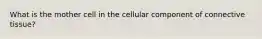 What is the mother cell in the cellular component of connective tissue?