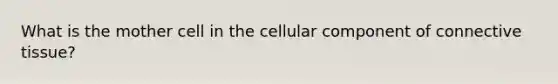 What is the mother cell in the cellular component of connective tissue?