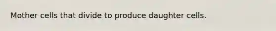 Mother cells that divide to produce daughter cells.