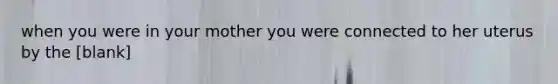 when you were in your mother you were connected to her uterus by the [blank]