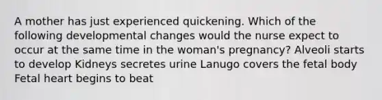 A mother has just experienced quickening. Which of the following developmental changes would the nurse expect to occur at the same time in the woman's pregnancy? Alveoli starts to develop Kidneys secretes urine Lanugo covers the fetal body Fetal heart begins to beat