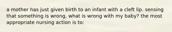 a mother has just given birth to an infant with a cleft lip. sensing that something is wrong, what is wrong with my baby? the most appropriate nursing action is to: