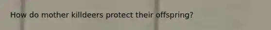 How do mother killdeers protect their offspring?