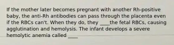 If the mother later becomes pregnant with another Rh-positive baby, the anti-Rh antibodies can pass through the placenta even if the RBCs can't. When they do, they ____the fetal RBCs, causing agglutination and hemolysis. The infant develops a severe hemolytic anemia called ____