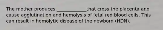 The mother produces _____________that cross the placenta and cause agglutination and hemolysis of fetal red blood cells. This can result in hemolytic disease of the newborn (HDN).