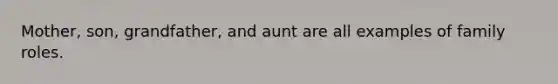 Mother, son, grandfather, and aunt are all examples of family roles.