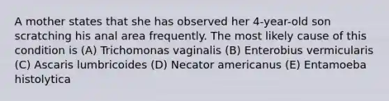 A mother states that she has observed her 4-year-old son scratching his anal area frequently. The most likely cause of this condition is (A) Trichomonas vaginalis (B) Enterobius vermicularis (C) Ascaris lumbricoides (D) Necator americanus (E) Entamoeba histolytica