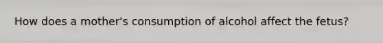 How does a mother's consumption of alcohol affect the fetus?