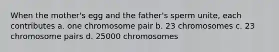 When the mother's egg and the father's sperm unite, each contributes a. one chromosome pair b. 23 chromosomes c. 23 chromosome pairs d. 25000 chromosomes