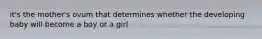 it's the mother's ovum that determines whether the developing baby will become a boy or a girl