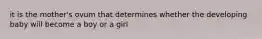 it is the mother's ovum that determines whether the developing baby will become a boy or a girl