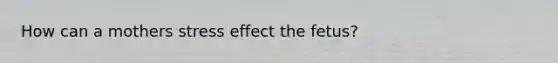 How can a mothers stress effect the fetus?