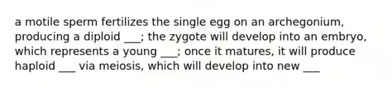 a motile sperm fertilizes the single egg on an archegonium, producing a diploid ___; the zygote will develop into an embryo, which represents a young ___; once it matures, it will produce haploid ___ via meiosis, which will develop into new ___