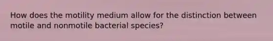 How does the motility medium allow for the distinction between motile and nonmotile bacterial species?