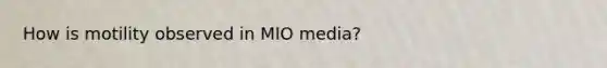 How is motility observed in MIO media?