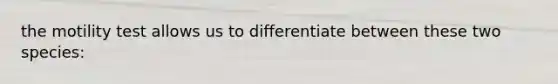 the motility test allows us to differentiate between these two species: