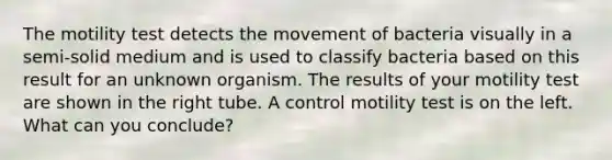 The motility test detects the movement of bacteria visually in a semi-solid medium and is used to classify bacteria based on this result for an unknown organism. The results of your motility test are shown in the right tube. A control motility test is on the left. What can you conclude?