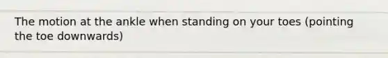 The motion at the ankle when standing on your toes (pointing the toe downwards)