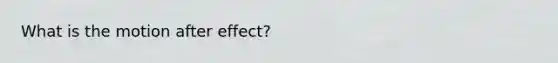 What is the motion after effect?
